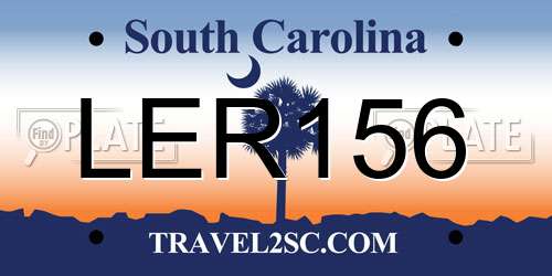 LER156 South Carolina License Plate
