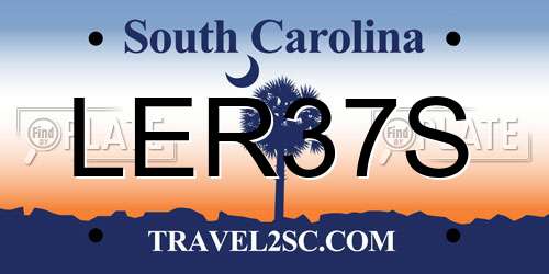 LER37S South Carolina License Plate