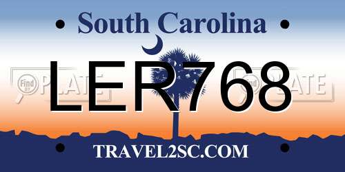 LER768 South Carolina License Plate