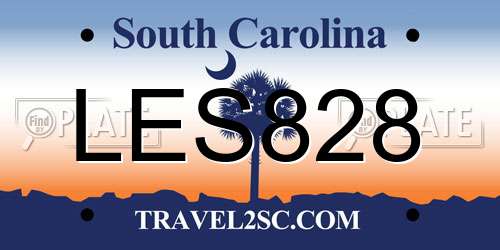 LES828 South Carolina License Plate