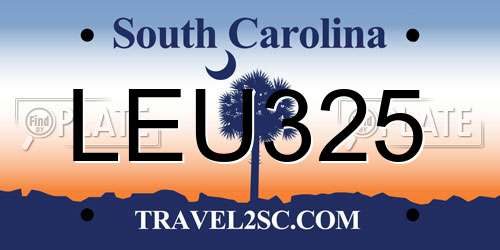 LEU325 South Carolina License Plate