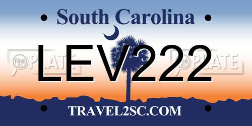LEV222 South Carolina License Plate