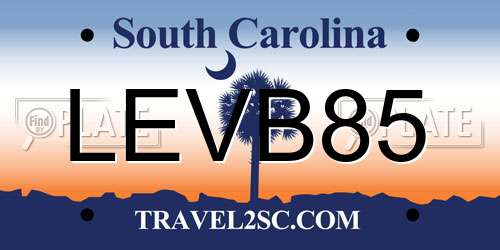 LEVB85 South Carolina License Plate