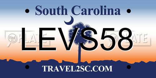 LEVS58 South Carolina License Plate