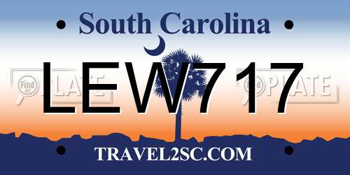LEW717 South Carolina License Plate