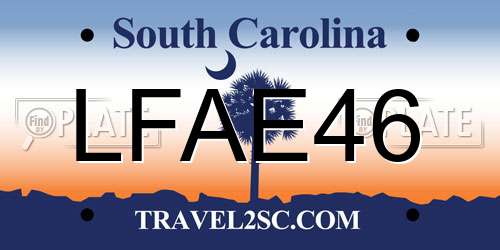 LFAE46 South Carolina License Plate