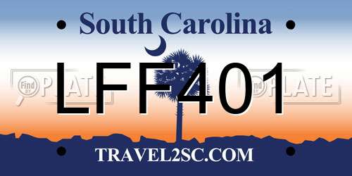 LFF401 South Carolina License Plate