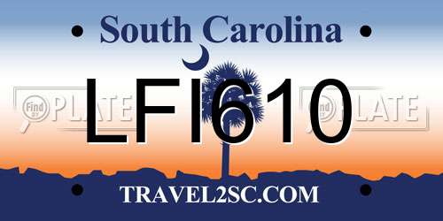 LFI610 South Carolina License Plate