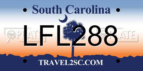 LFL288 South Carolina License Plate