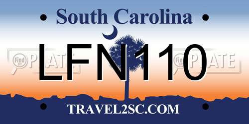 LFN110 South Carolina License Plate