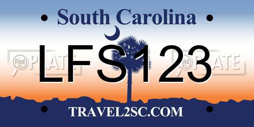 LFS123 South Carolina License Plate