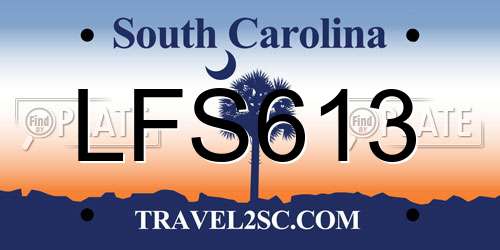 LFS613 South Carolina License Plate