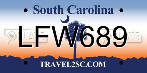 LFW689 South Carolina License Plate