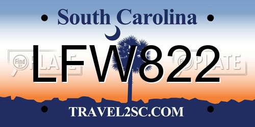 LFW822 South Carolina License Plate