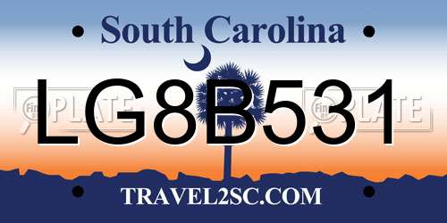 LG8B531 South Carolina License Plate