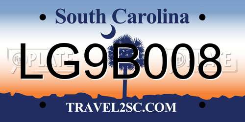 LG9B008 South Carolina License Plate