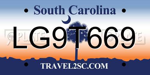 LG9T669 South Carolina License Plate