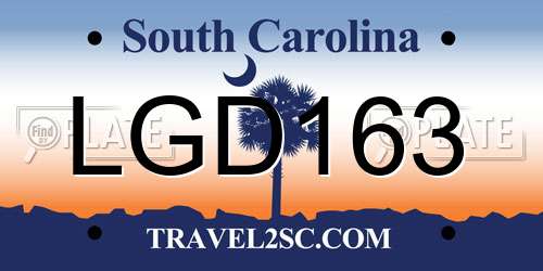 LGD163 South Carolina License Plate