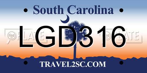 LGD316 South Carolina License Plate