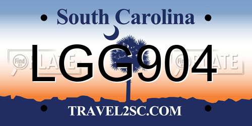 LGG904 South Carolina License Plate