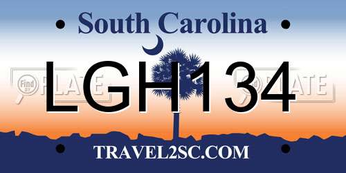 LGH134 South Carolina License Plate