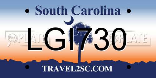 LGI730 South Carolina License Plate