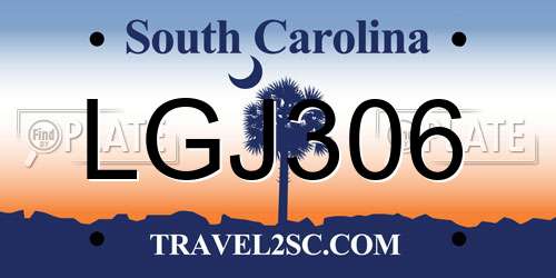 LGJ306 South Carolina License Plate