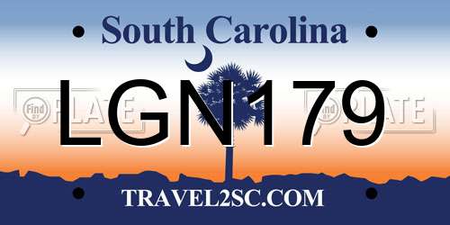 LGN179 South Carolina License Plate
