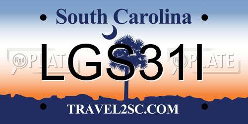 LGS31I South Carolina License Plate