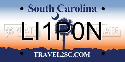 LI1P0N South Carolina License Plate