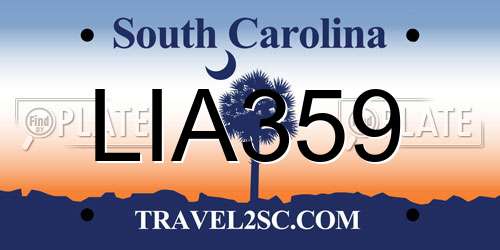 LIA359 South Carolina License Plate