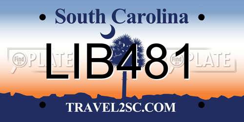LIB481 South Carolina License Plate