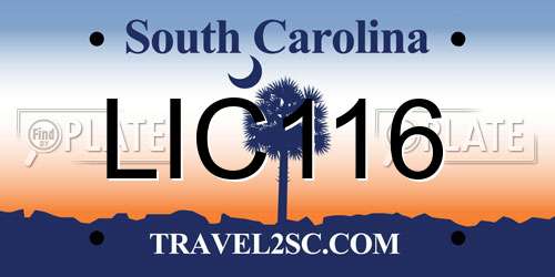 LIC116 South Carolina License Plate