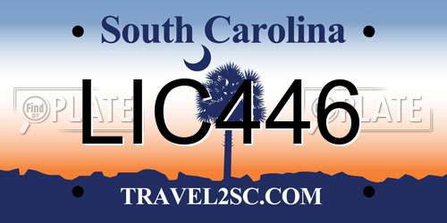LIC446 South Carolina License Plate