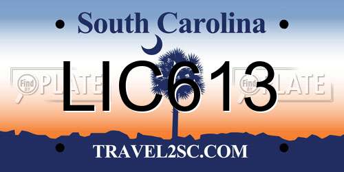 LIC613 South Carolina License Plate
