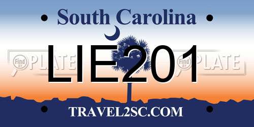 LIE201 South Carolina License Plate