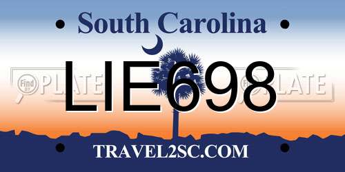 LIE698 South Carolina License Plate