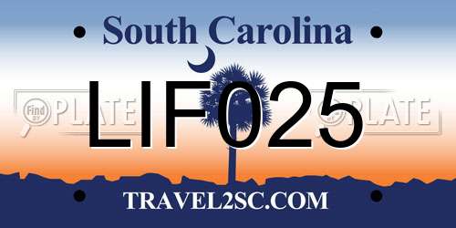 LIF025 South Carolina License Plate