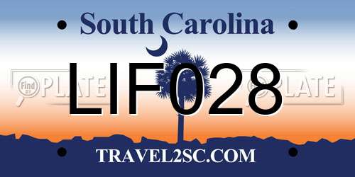 LIF028 South Carolina License Plate