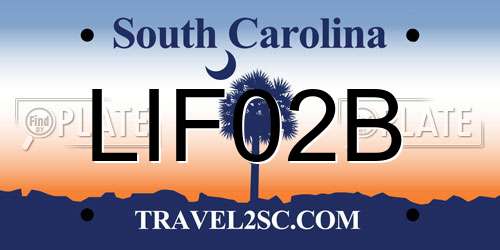 LIF02B South Carolina License Plate