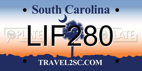 LIF280 South Carolina License Plate