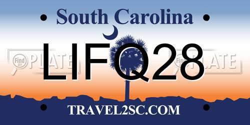 LIFQ28 South Carolina License Plate