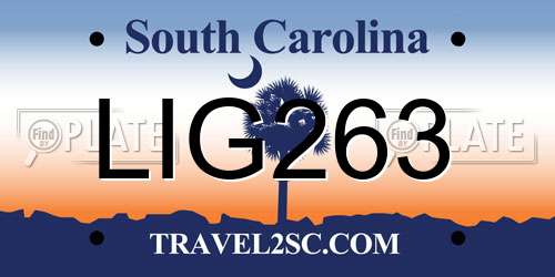 LIG263 South Carolina License Plate