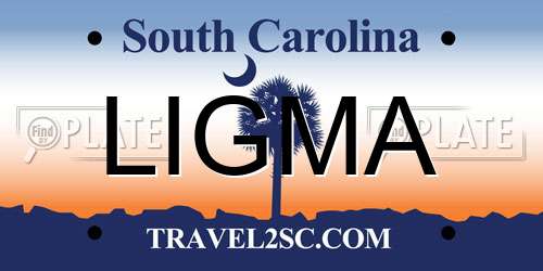 LIGMA South Carolina License Plate