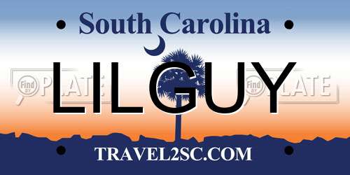 LILGUY South Carolina License Plate