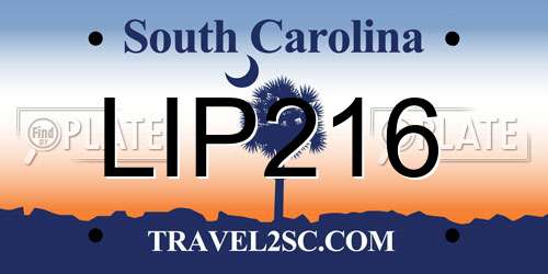 LIP216 South Carolina License Plate