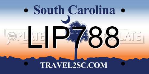 LIP788 South Carolina License Plate