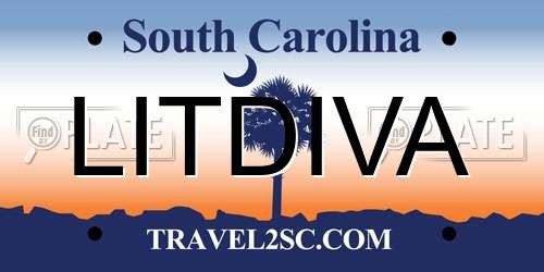LITDIVA South Carolina License Plate
