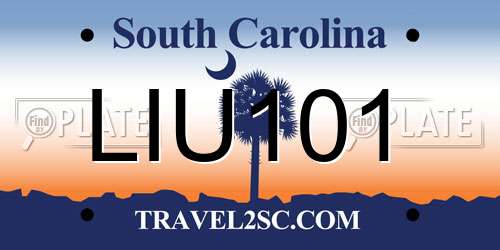 LIU101 South Carolina License Plate
