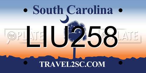 LIU258 South Carolina License Plate